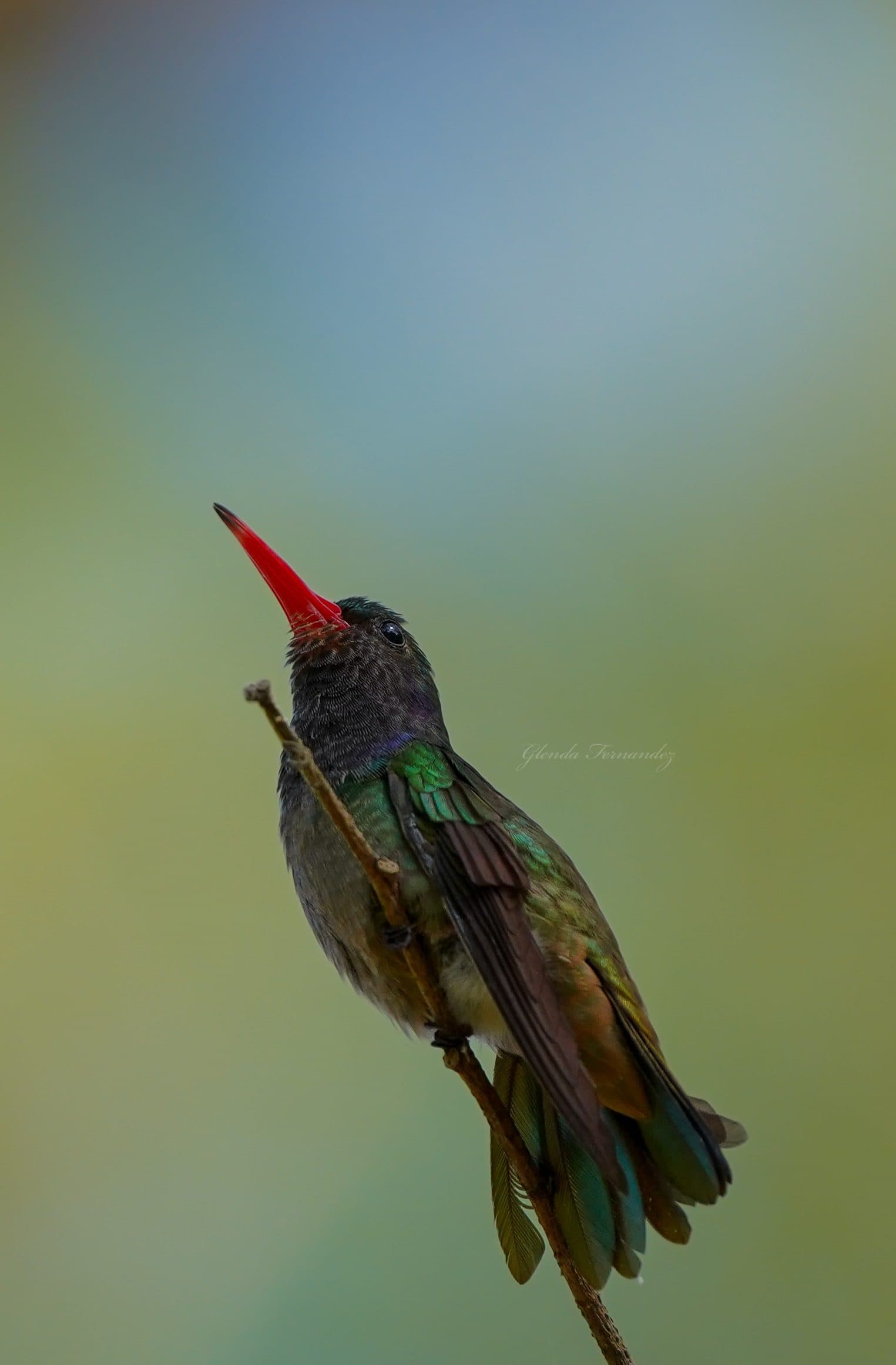 Costa Rica Nicoya Peninsula tours