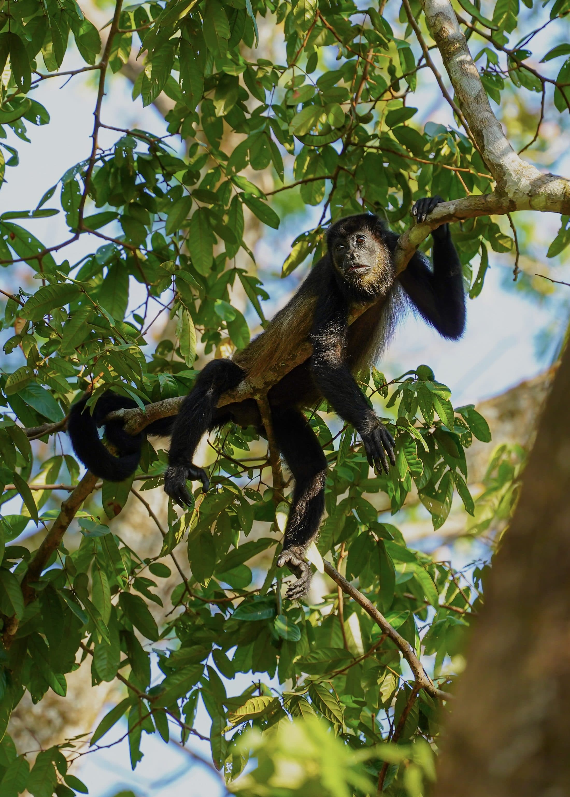 Private transportation service on the Nicoya Peninsula