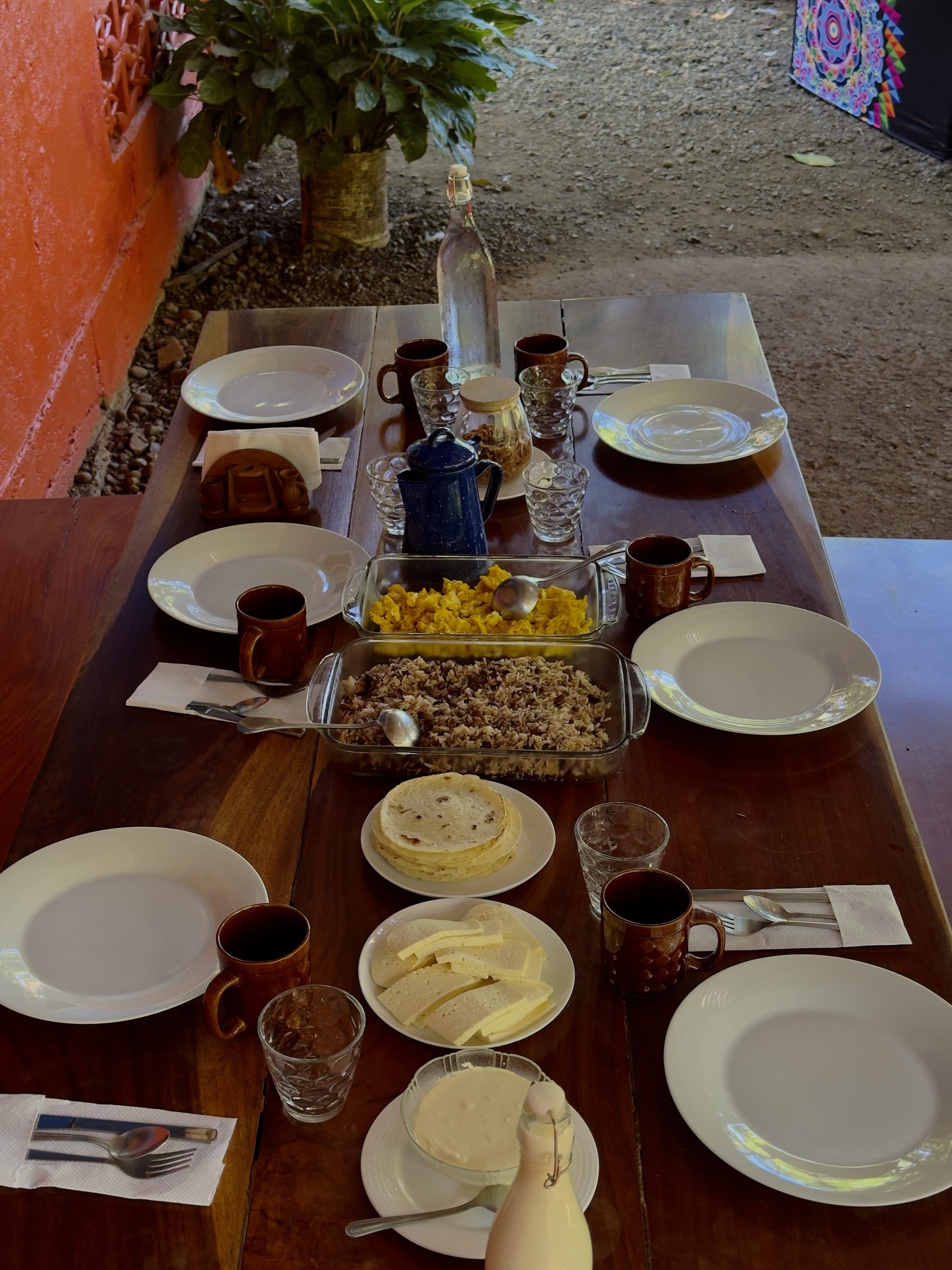 Authentic Costa Rican Farm & Blue Zone Experience hero photo